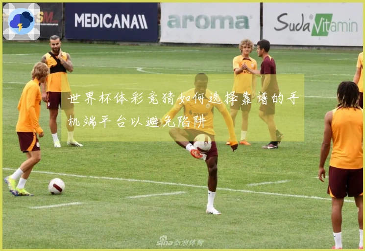 世界杯体彩竞猜如何选择靠谱的手机端平台以避免陷阱