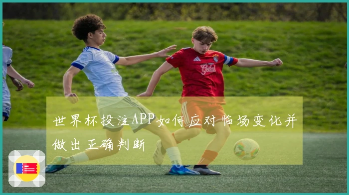 世界杯投注APP如何应对临场变化并做出正确判断