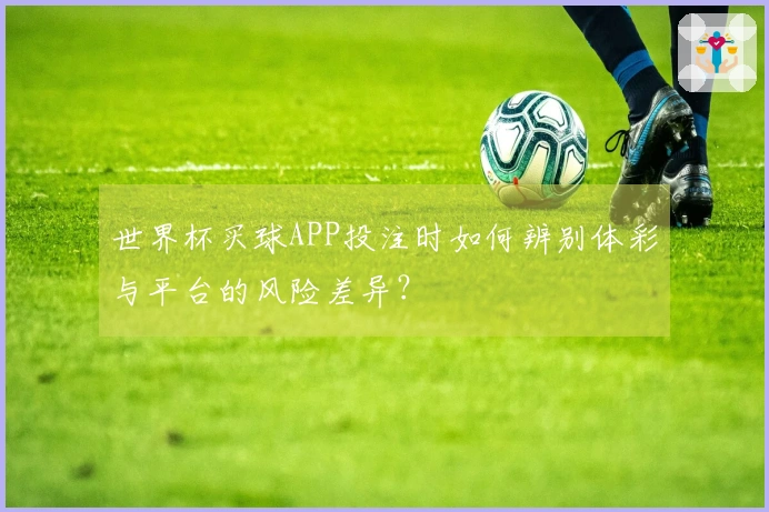 世界杯买球APP投注时如何辨别体彩与平台的风险差异？