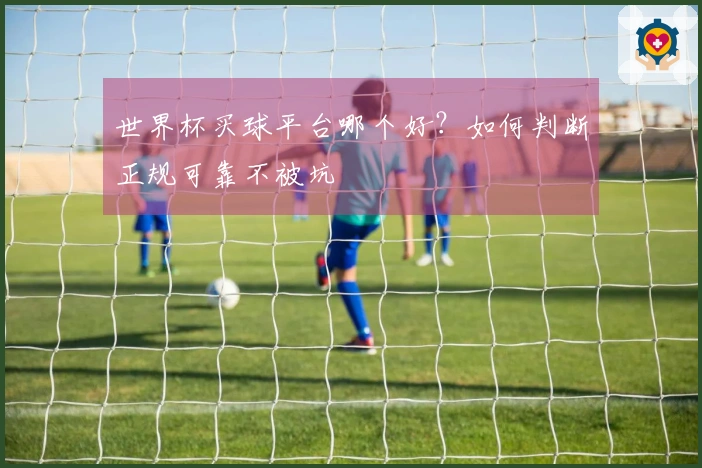 世界杯买球平台哪个好？如何判断正规可靠不被坑