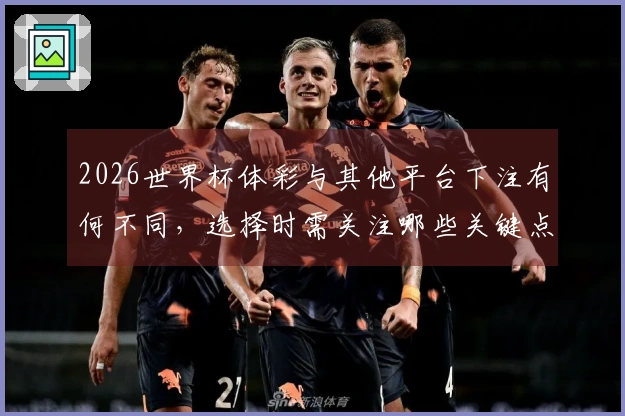 2026世界杯体彩与其他平台下注有何不同，选择时需关注哪些关键点？