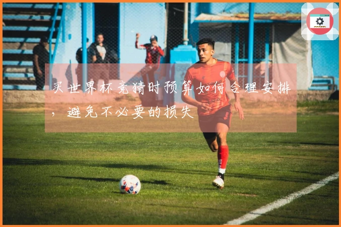 买世界杯竞猜时预算如何合理安排，避免不必要的损失