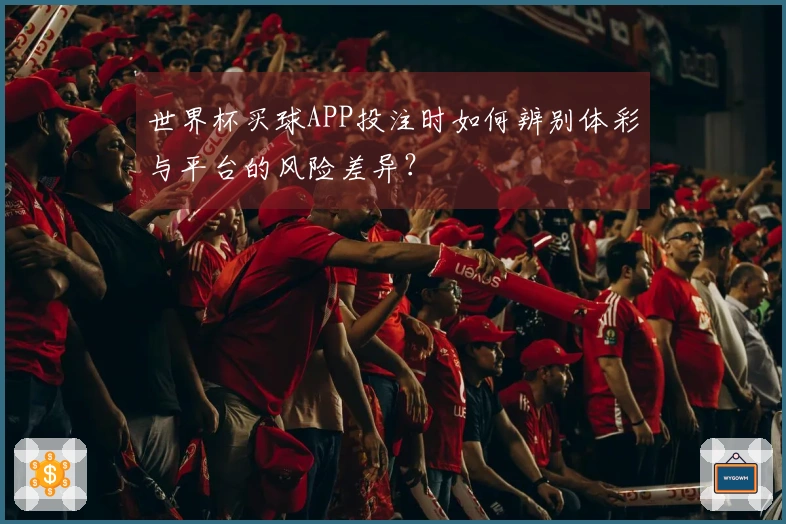 世界杯买球APP投注时如何辨别体彩与平台的风险差异？