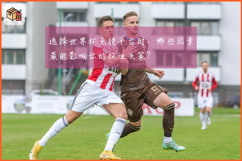 选择世界杯竞猜平台时，哪些因素最能影响你的投注决策？