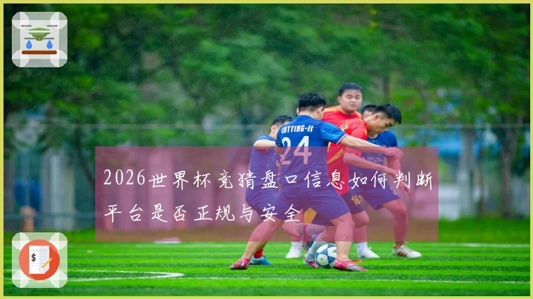 2026世界杯竞猜盘口信息如何判断平台是否正规与安全
