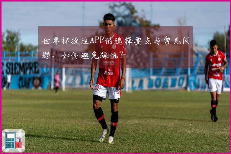 世界杯投注APP的选择要点与常见问题，如何避免踩坑？