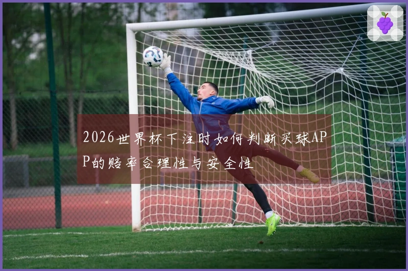 2026世界杯下注时如何判断买球APP的赔率合理性与安全性