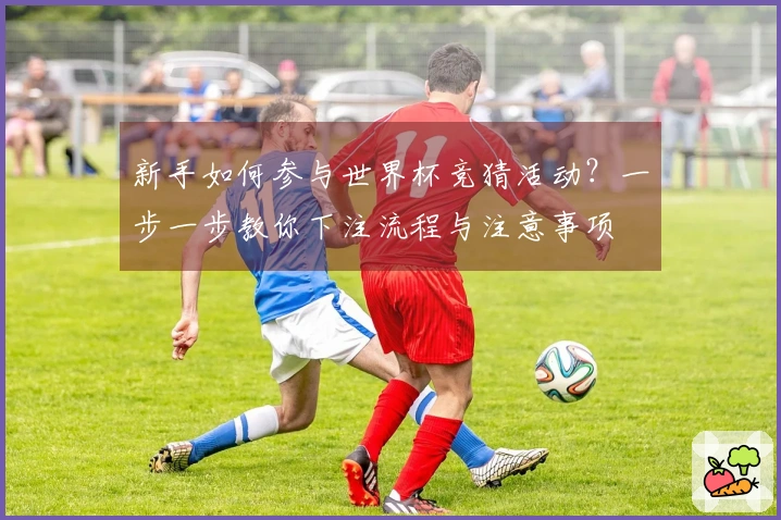 新手如何参与世界杯竞猜活动？一步一步教你下注流程与注意事项
