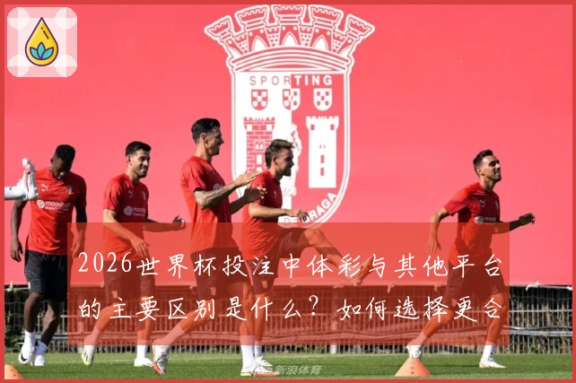 2026世界杯投注中体彩与其他平台的主要区别是什么？如何选择更合适的投注渠道？