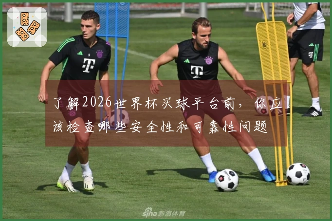 了解2026世界杯买球平台前，你应该检查哪些安全性和可靠性问题