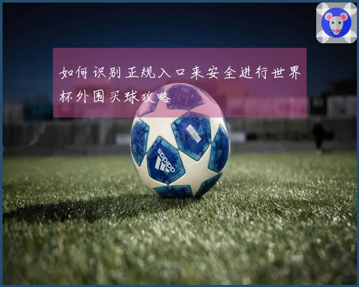 如何识别正规入口来安全进行世界杯外围买球攻略