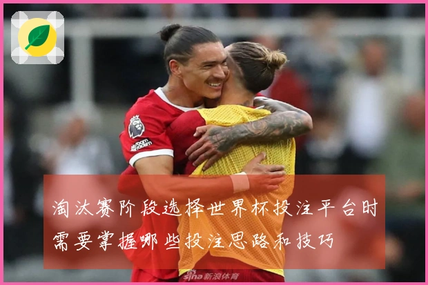 淘汰赛阶段选择世界杯投注平台时需要掌握哪些投注思路和技巧
