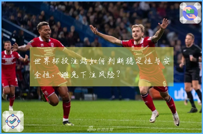 世界杯投注站如何判断稳定性与安全性，避免下注风险？