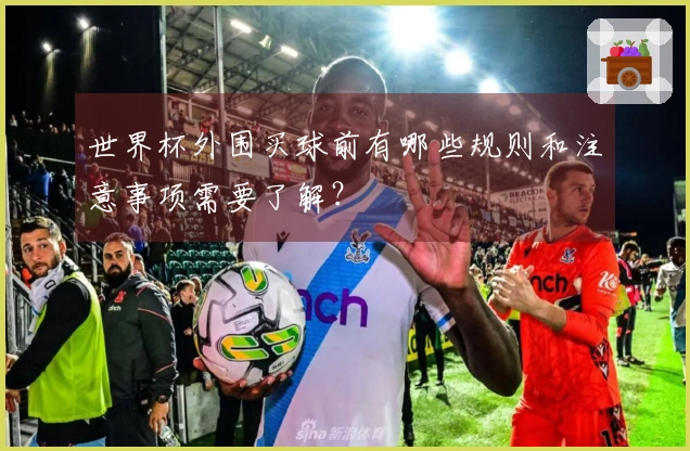 世界杯外围买球前有哪些规则和注意事项需要了解？