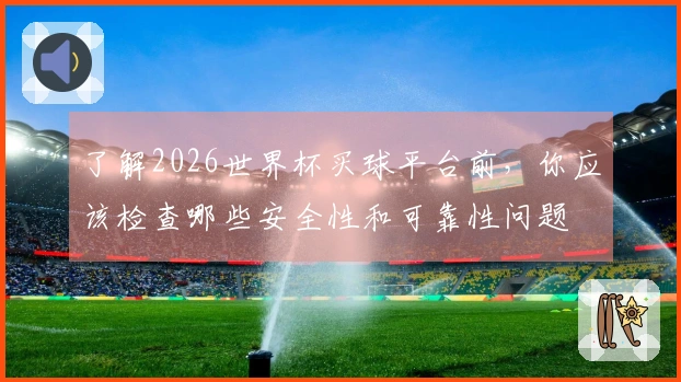 了解2026世界杯买球平台前，你应该检查哪些安全性和可靠性问题
