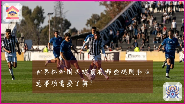 世界杯外围买球前有哪些规则和注意事项需要了解？