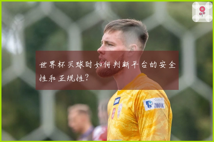 世界杯买球时如何判断平台的安全性和正规性？