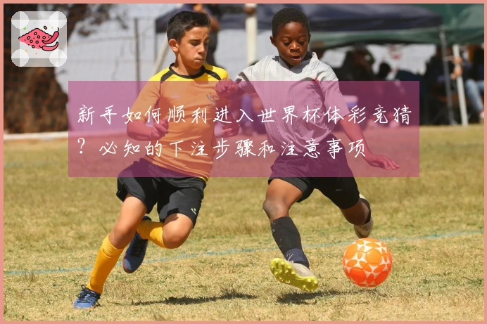 新手如何顺利进入世界杯体彩竞猜？必知的下注步骤和注意事项