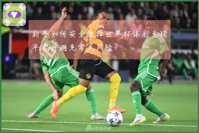 新手如何安全选择世界杯体彩竞猜平台并避免常见风险？
