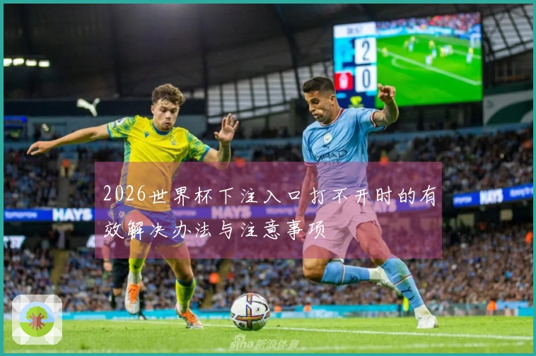 2026世界杯下注入口打不开时的有效解决办法与注意事项