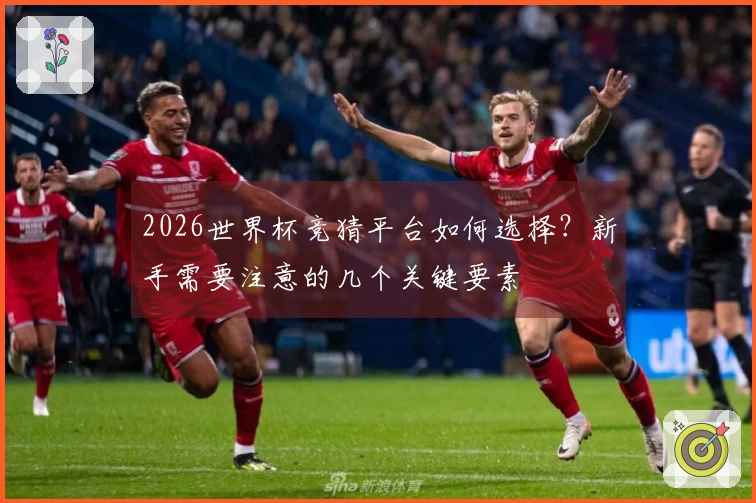 2026世界杯竞猜平台如何选择？新手需要注意的几个关键要素
