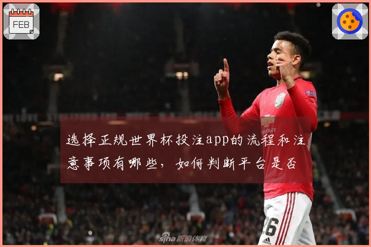 选择正规世界杯投注app的流程和注意事项有哪些，如何判断平台是否靠谱
