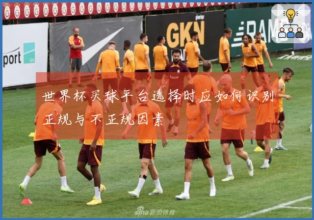 世界杯买球平台选择时应如何识别正规与不正规因素