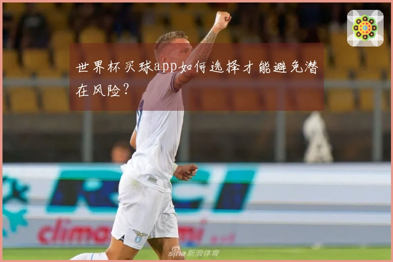 世界杯买球app如何选择才能避免潜在风险？