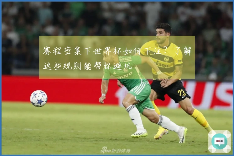 赛程密集下世界杯如何下注？了解这些规则能帮你避坑