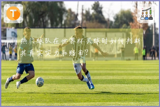 热门球队在世界杯买球时如何判断其真实实力和赔率？