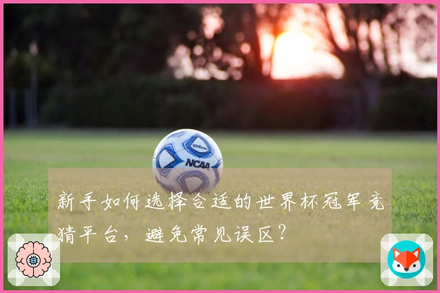 新手如何选择合适的世界杯冠军竞猜平台，避免常见误区？