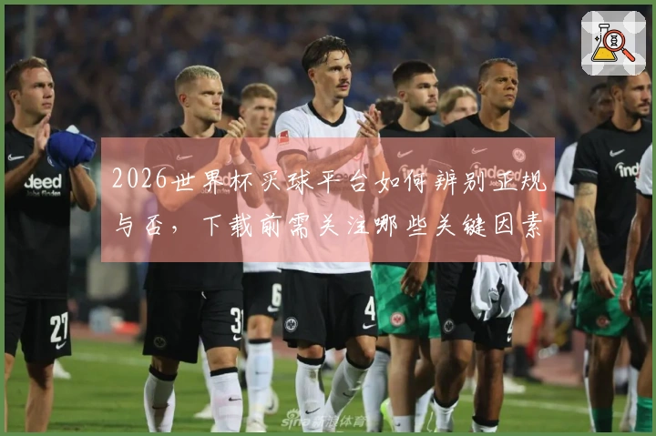 2026世界杯买球平台如何辨别正规与否，下载前需关注哪些关键因素