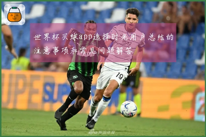 世界杯买球app选择时老用户总结的注意事项和常见问题解答
